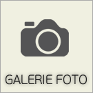 Galeria foto